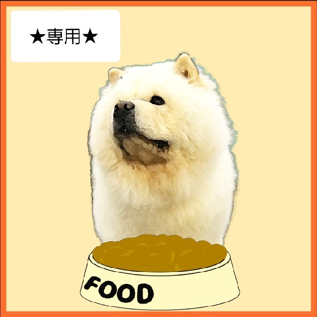 ◯ ロイヤルカナン 柴犬 成犬用8kg入 3袋