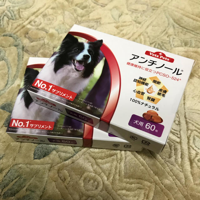アンチノール 60カプセル入り二箱新品｜犬 アンチノール 60カプセル×2