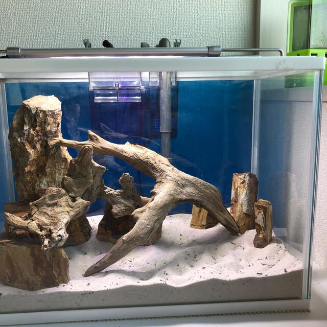 水槽用流木と雲山石セット 水槽用流木と雲山石セット 水槽用流木と雲