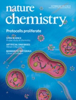 ネイチャー・アンド・ソサエティ研究 第1〜5巻セット ネイチャー