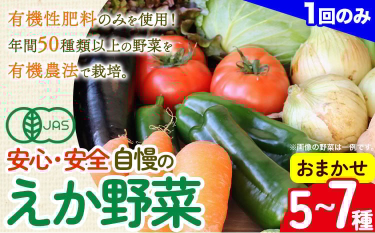 えか野菜 おまかせ5～7種セット 有機JAS認定 株式会社えか自然農場《30