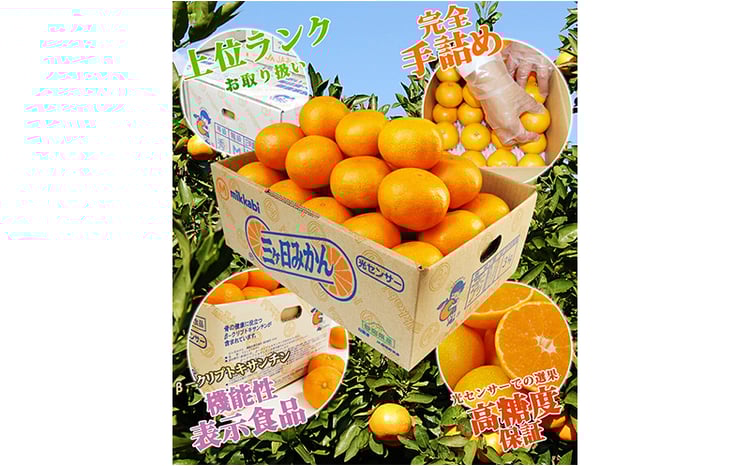 三ケ日みかん 早生【優品】Sサイズ4kg(48個前後) ミカン 果物 くだもの