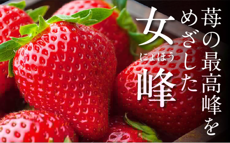 NATSUMI ICHIGO 女峰 約600g以上（2026年1月～6月配送）| いちご