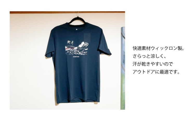 sd4_15e0f6f472c53c20e9e4586d9a