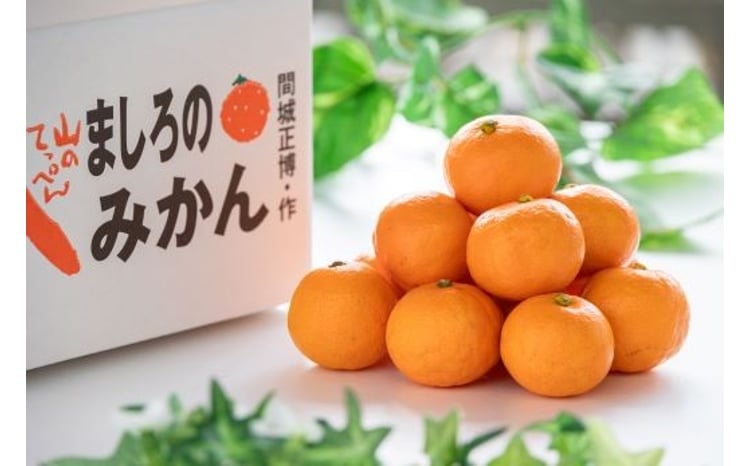 しろたミカン様 リクエスト 10点 まとめ商品 しろたミカン様