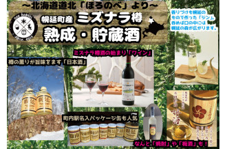 幌延駅開駅100周年記念入場券 2枚セット - 北海道幌延町｜ふるさと