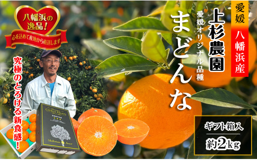 ももこ】6種類詰合せ×6本+SUIGUNマドンナM6.5Kg