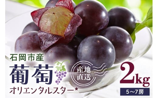 巨峰 出品 13個 巨峰 出品 13個 楽天市場】ぶどう 詰合せ 巨峰 と