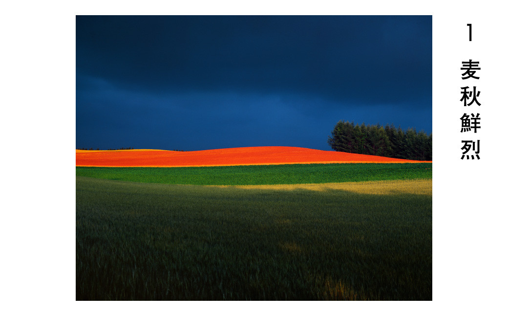 前田真三 額付き写真（黒額） 四切サイズ[120-10] - 北海道美瑛町