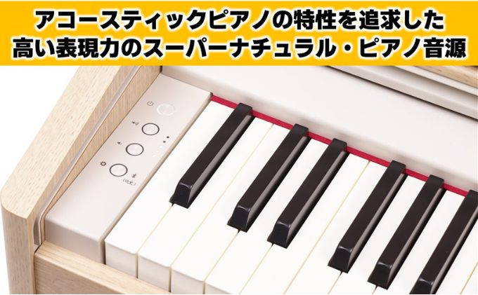 電子ピアノ RP701 ライトオーク調仕上げ Roland 設置作業付き 電子