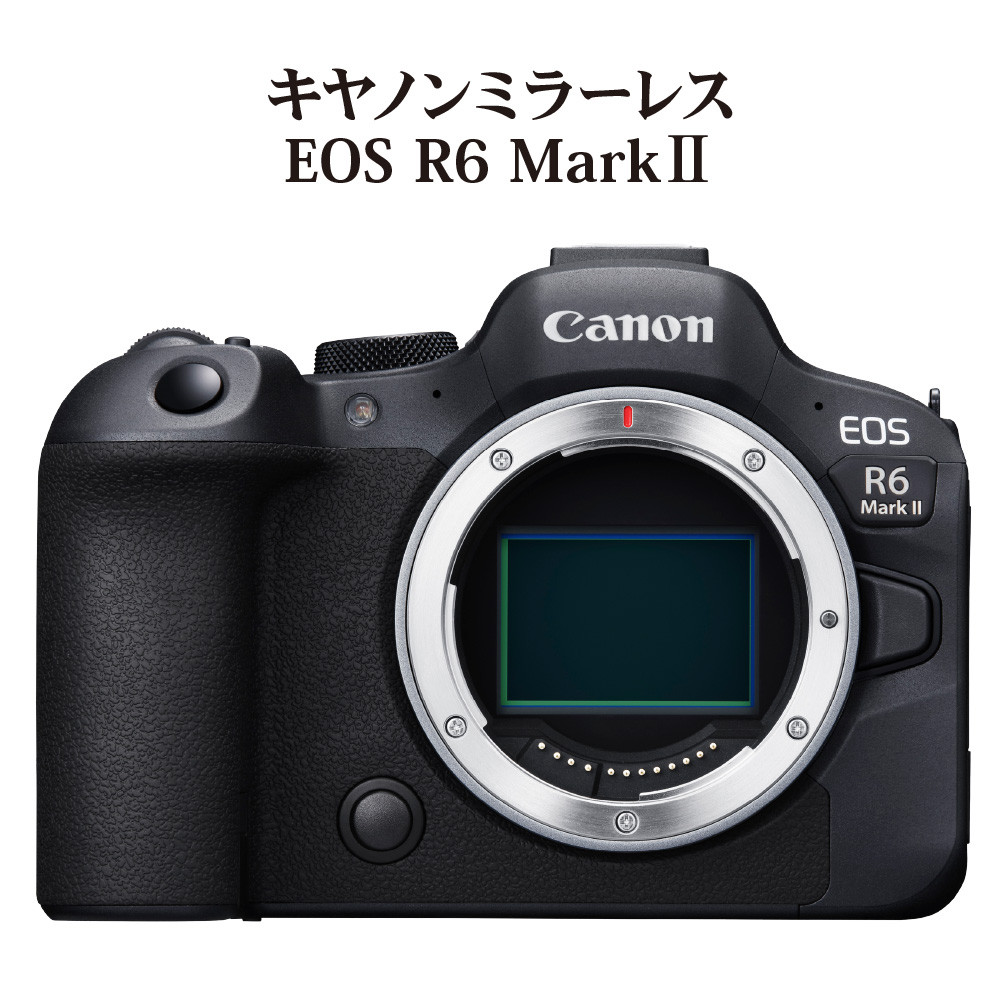 Canon キャノン デジタルカメラ 6台 動作未確認 ジャンク 修理用②