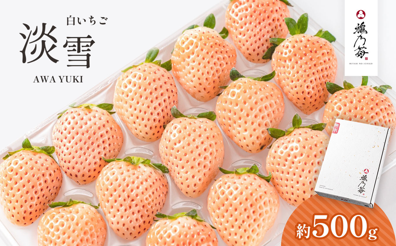 雅乃苺 白 いちご 淡雪 約 500g | フルーツ 果物 くだもの 苺 イチゴ