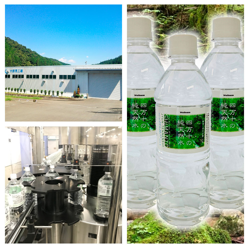 四万十の純天然水 500ml×48本 合計2ケース 水 天然水 ナチュラル