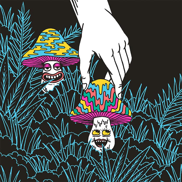 グレイトフル・デッド 1981～83年 NYマディソン・スクエア・ガーデン