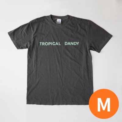 Mサイズ/ブラック】Tropical Dandy logo Tシャツ : 細野晴臣