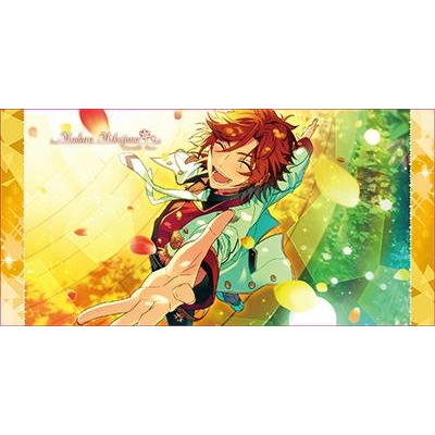 あんさんぶるスターズ! ビジュアルバスタオルVol.4 37.三毛縞斑