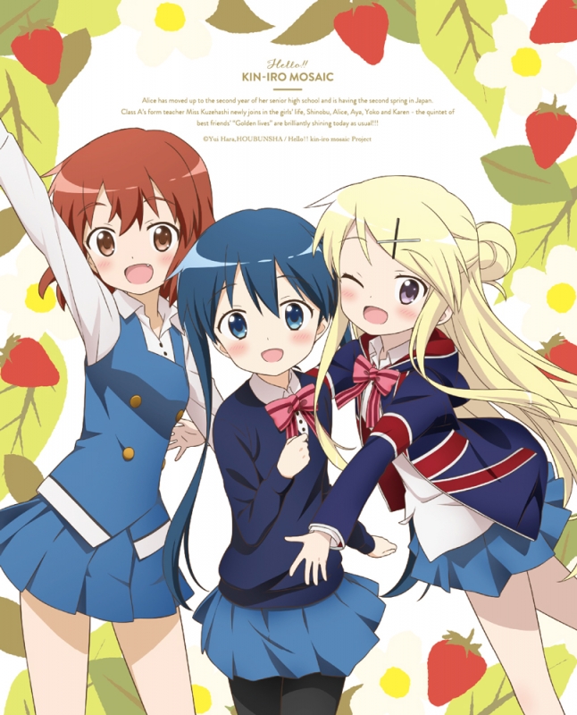 ハロー!!きんいろモザイク スペシャルセット 原画＋メモリアルブック