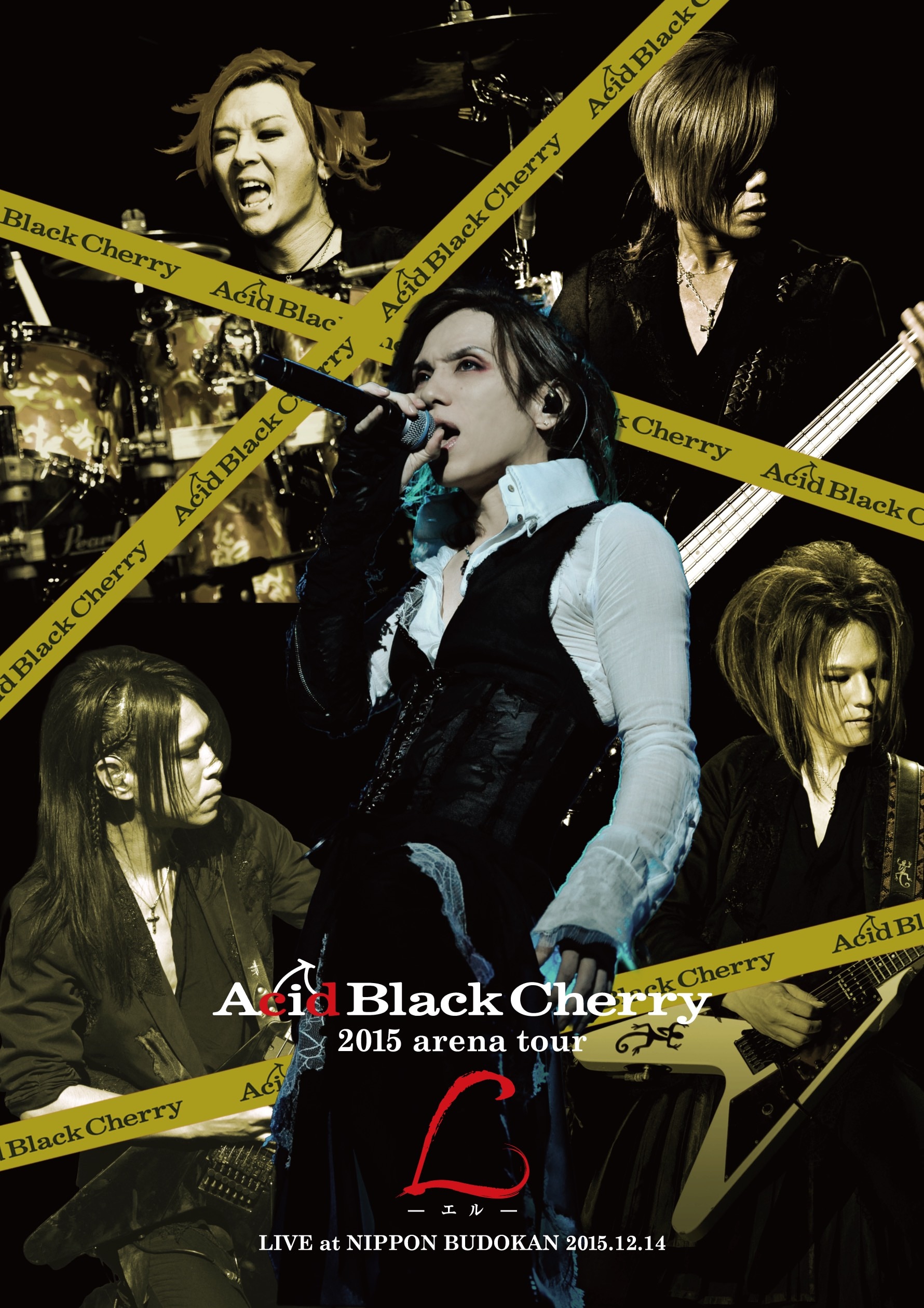 Acid Black Cherry 2009 tour 