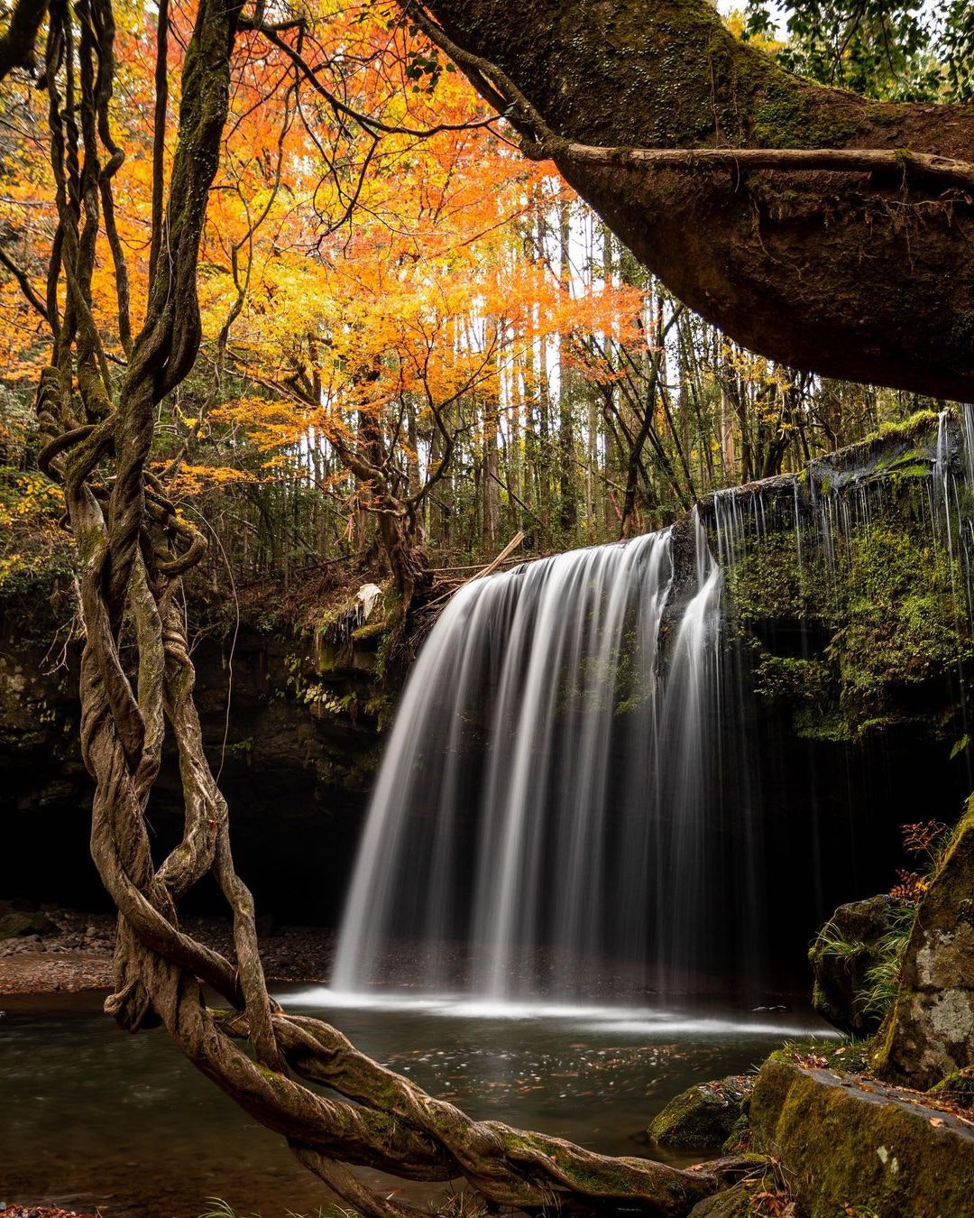 Canon EF17-40mm F4L USMを徹底解説。作例からレビューまで | ONE