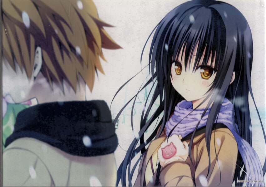 ToLOVEる】原画展 アクリルパネル 生産終了 ToLOVEる】原画展 アクリル