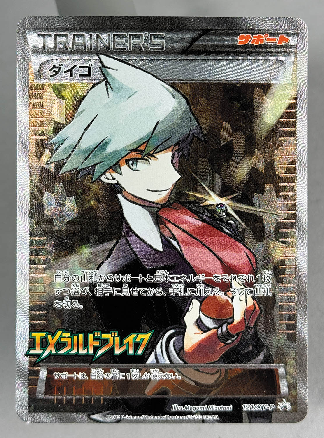 PSA10】ダイゴ (SR仕様)【P】 PSA10】ダイゴ (SR仕様)【P】 PSA10