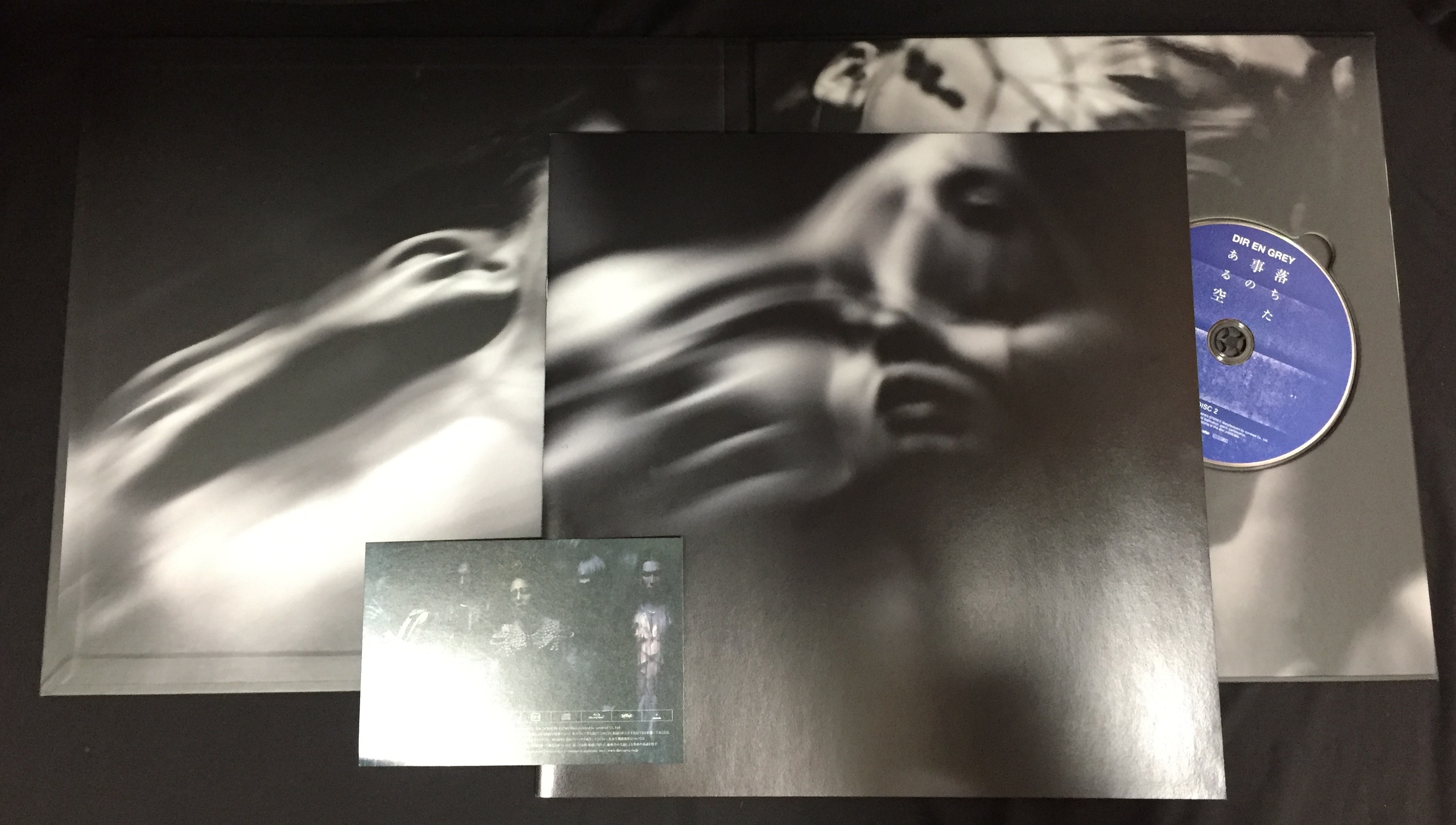 DIR EN GREY 落ちた事のある空ぴあアリーナ