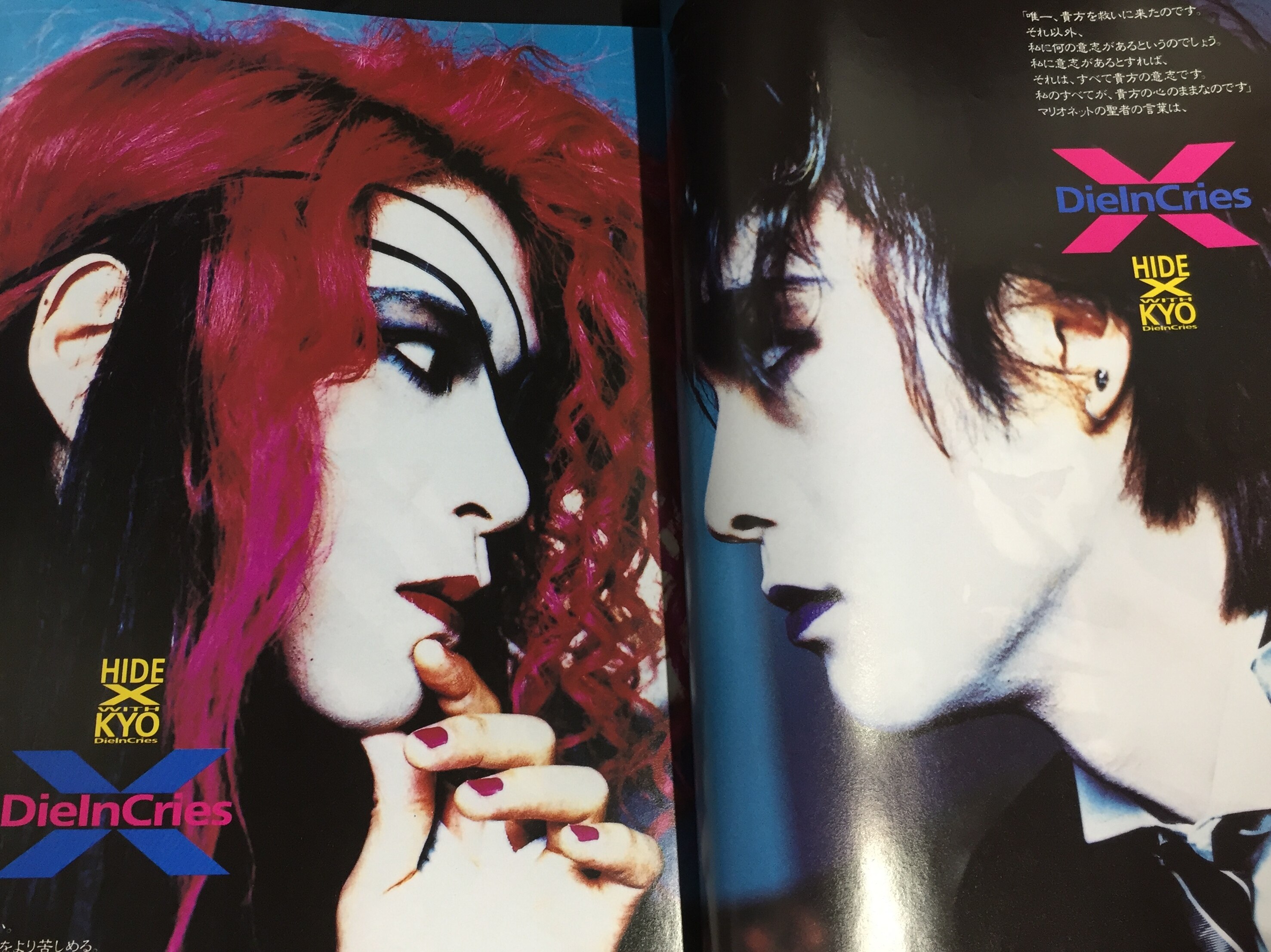 DIE IN CRIES kyo ファイル①ファイル②