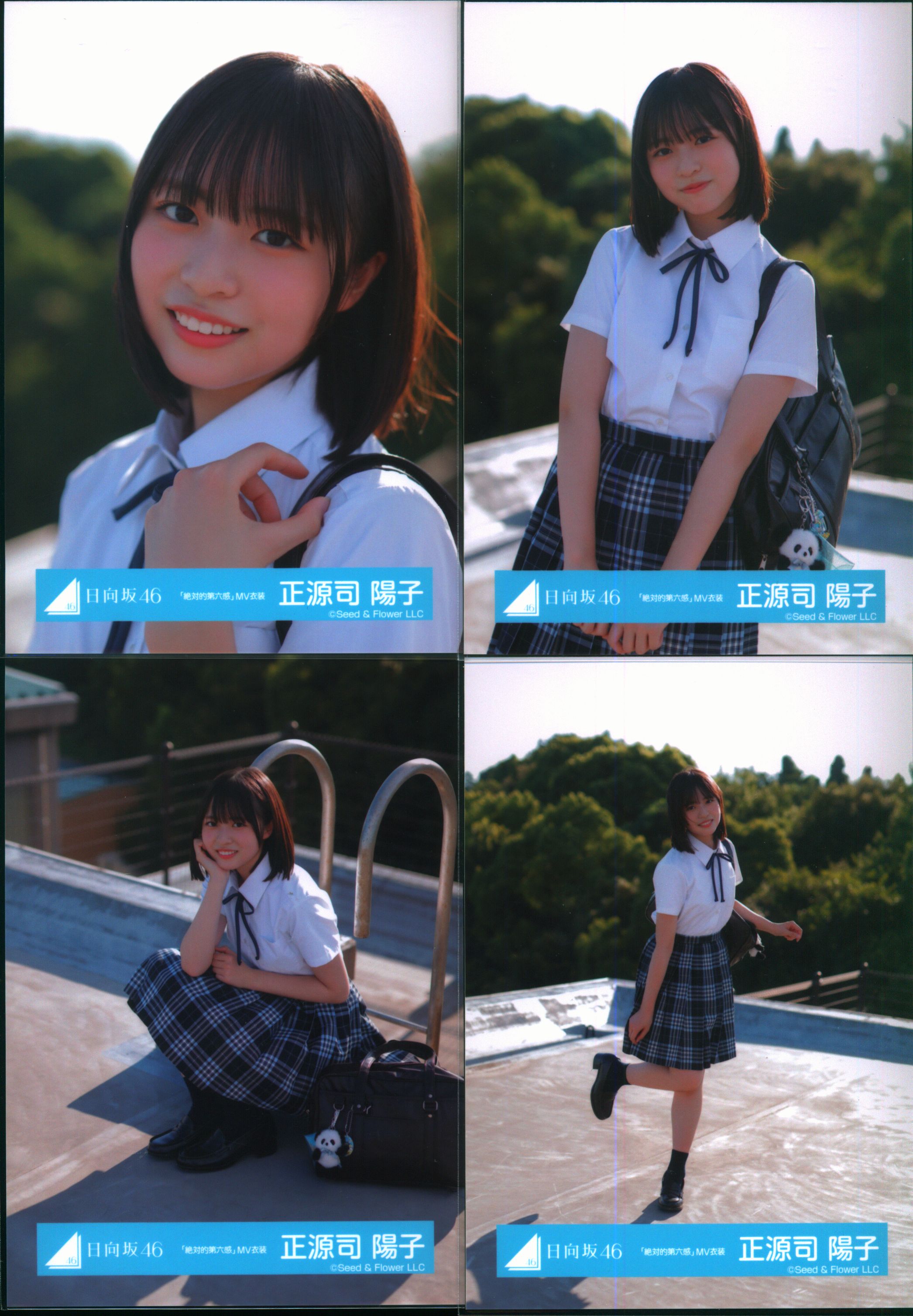 日向坂46 正源司陽子 生写真 8種コンプ