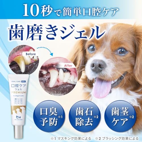新品、未開封】 CLEAN WAN クリーンワン 犬 歯磨き ジェル 15g CLEAN