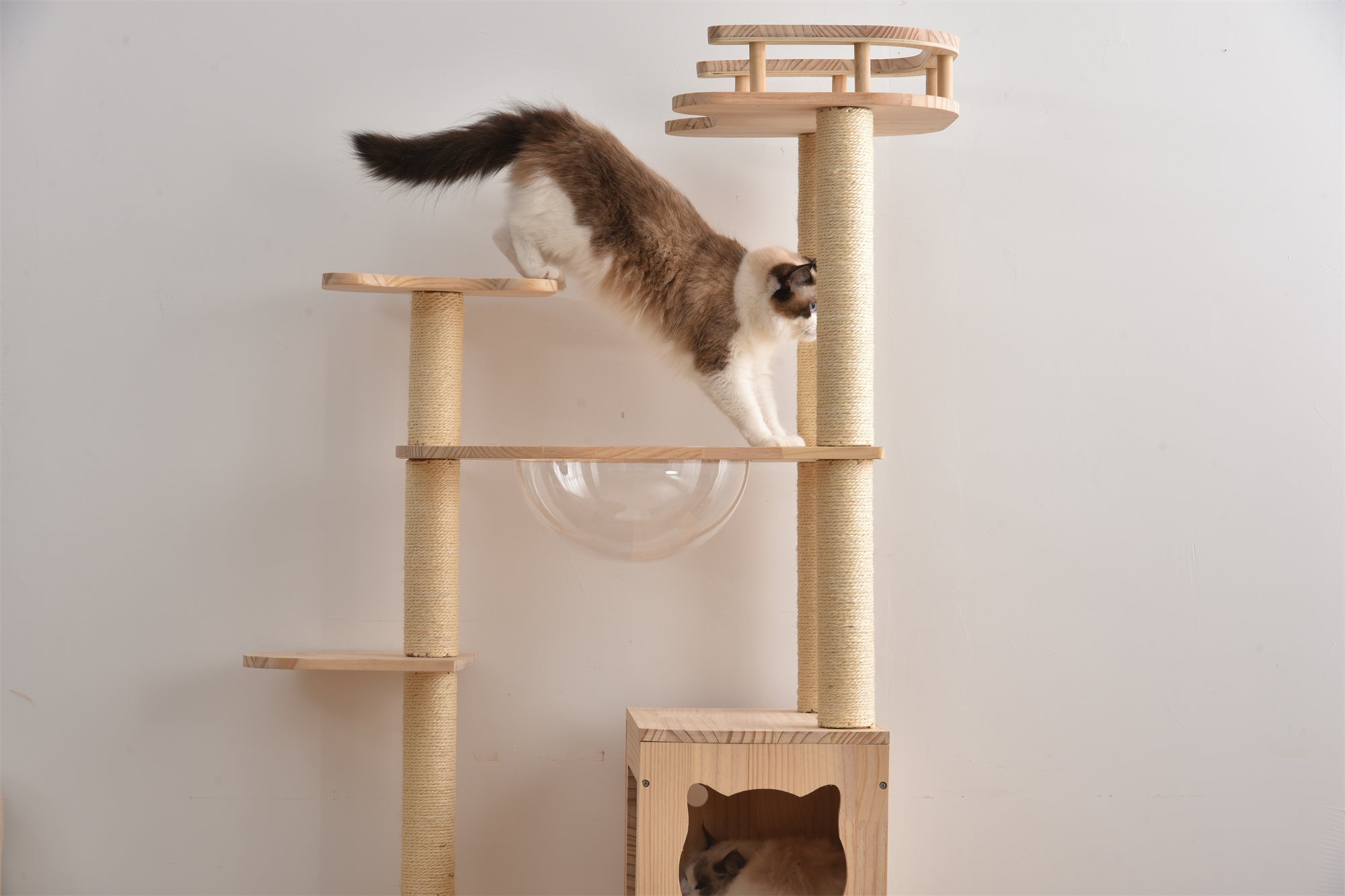 木製透明宇宙船キャットタワー | 遊び心と透明感で猫の冒険心を