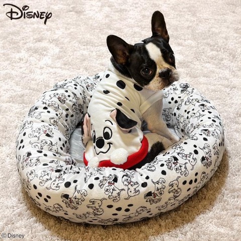 ♡フランスアンティーク LOULOU パジャマドッグ コンパニオンドッグ 布