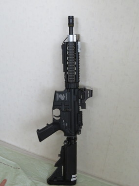 HOLOSUN HS501C ドットサイト HOLOSUN HS510c ドットサイト レビュー