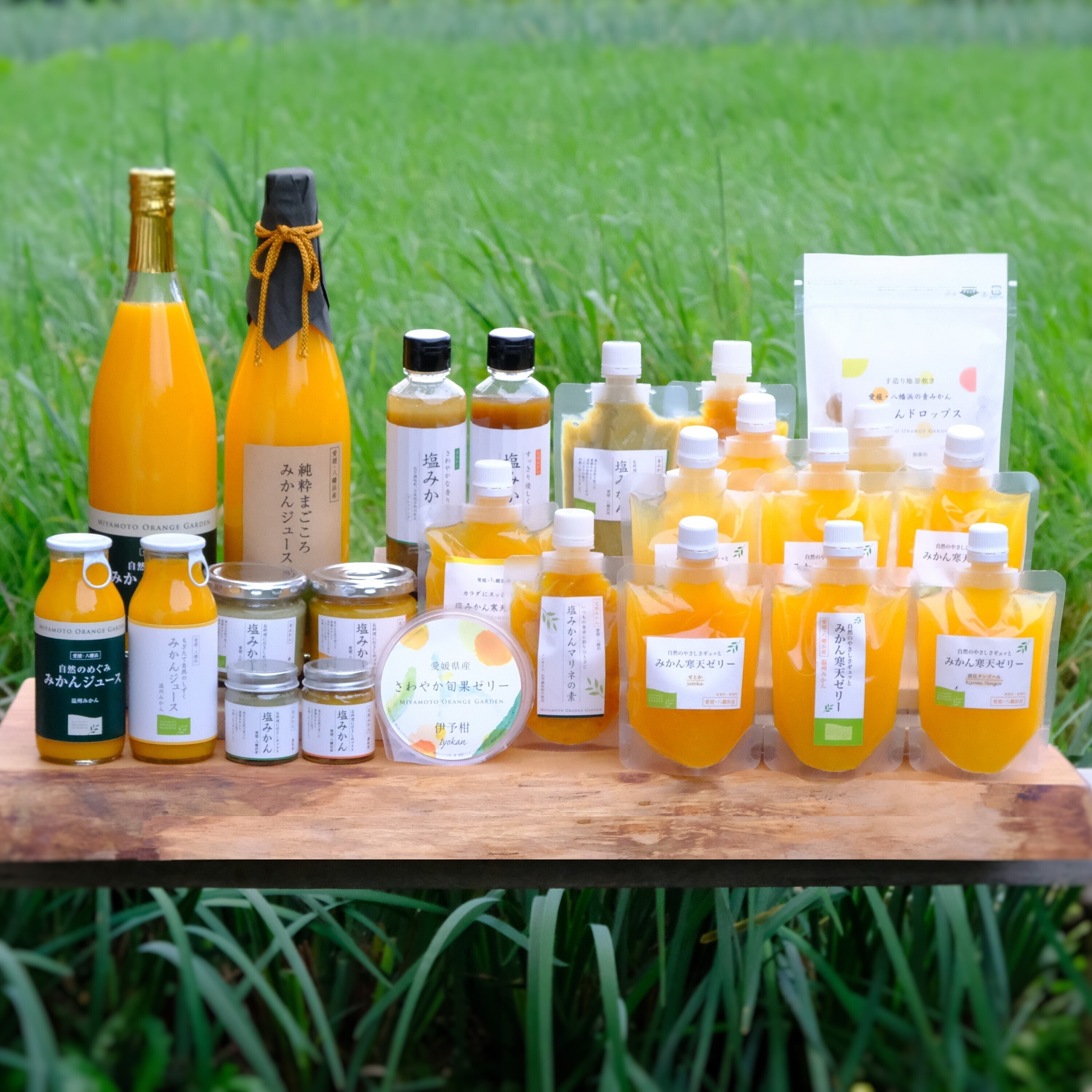 みやもと　みかん PARADISE さま、専用　PET