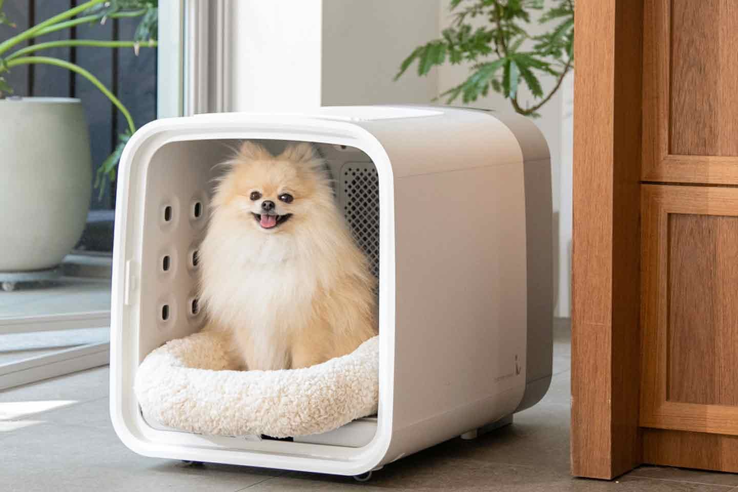 SALE♥ペットドライルーム マイナスイオン 72L 大容量 犬 猫