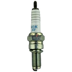 プラグローダ プラグローダ プラグローダ 楽天市場】ライブディオ zx