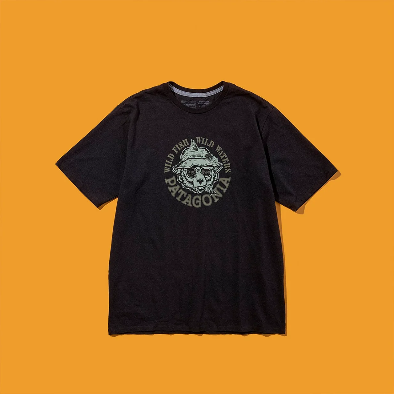 Patagonia パタゴニア 黒タグ レア Tシャツ ヴィンテージ アメリカ製