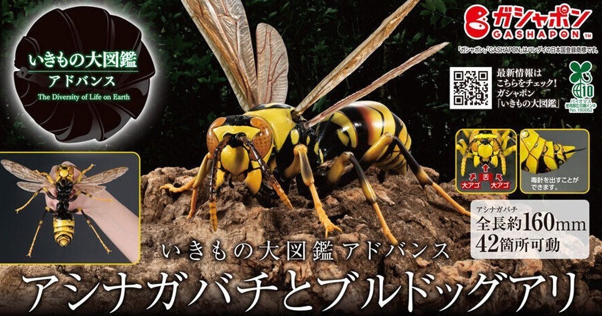 バンダイ『いきもの大図鑑Ultimate アシナガバチ＆ブルドックアリ