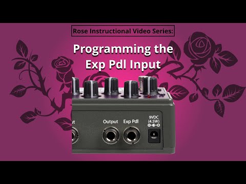 Eventide Rose Delay Effect Pedal | Sweetwater