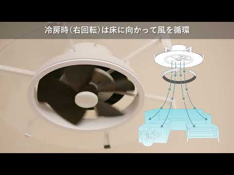 Modern Collection パネライトサーキュレーター JAVALO ELF JE-CF030