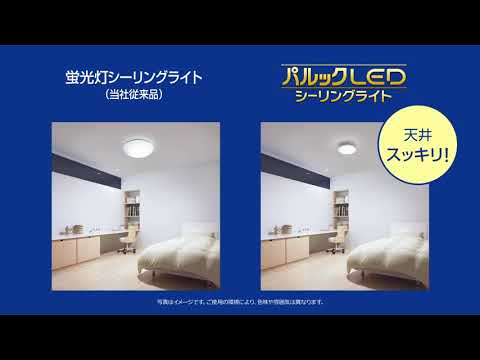 パルックLEDシーリングライト LE-RC06D [6畳 /昼光色 /リモコン付属