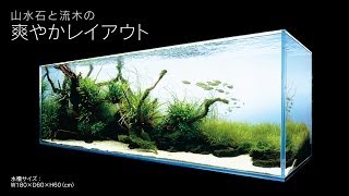 ADA 万天石⑧ アクアデザインアマノ AquaDesignAmano ADA 万天石 ADA 万天