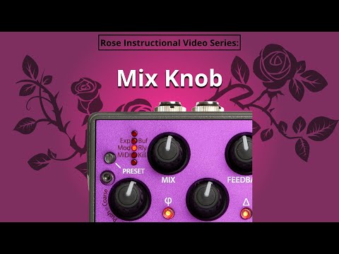 Eventide Rose Delay Effect Pedal | Sweetwater