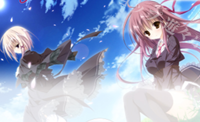 SSP 眩い柔肌 シャチ(サイン入り) 販売 | HARUKAZE | ヴァイス