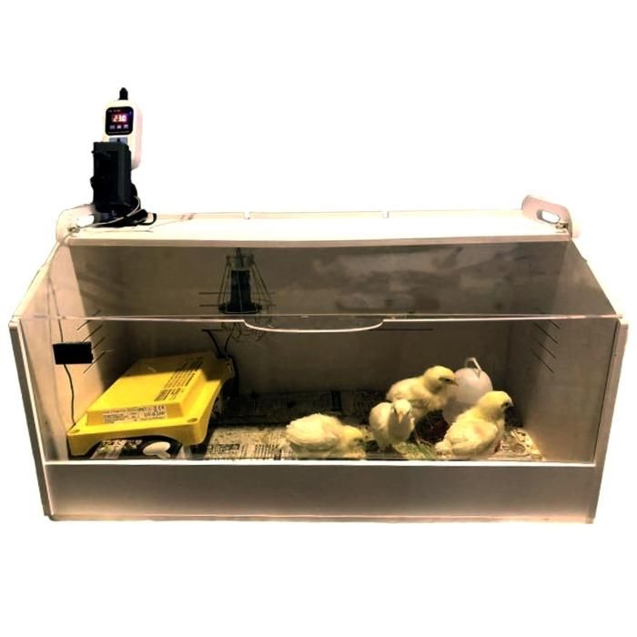 温室・飼育ケース guukawa 飼育ケース」の人気商品一覧 | 安い商品を