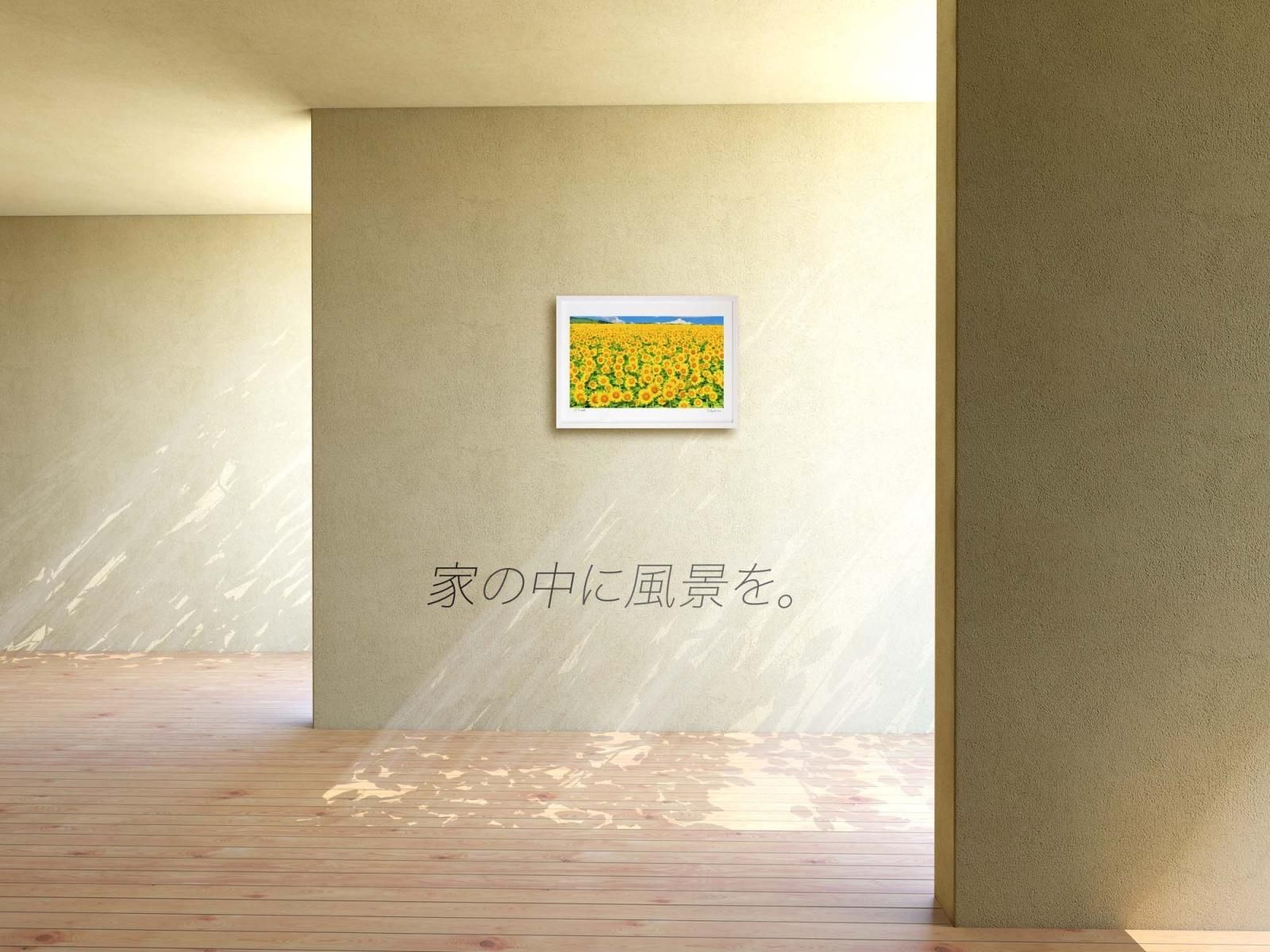版画 絵画 ひまわり畑 アートフォト インテリア 壁掛け 額入り 額装込