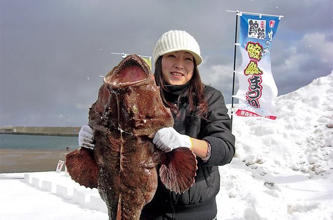 極上「風間浦鮟鱇」を味わう - 北東北エリアマガジン rakra ラ・クラ