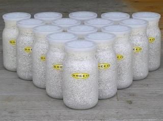 商品検索 - 菌糸ビンのBREED（ブリード）菌糸瓶 販売