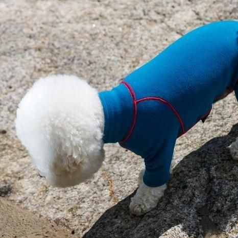 アルファアイコン HOT DOG GUARD - ドッグデコ | 犬と人の健やかな