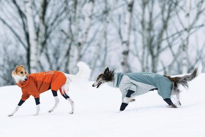 公式 アルファアイコン スノードッグガードM ALPHAICON スノードック