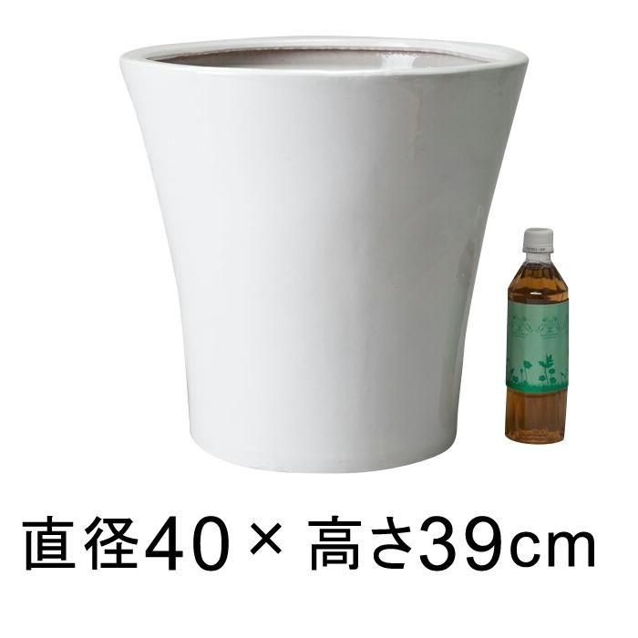 2024年2月からツヤ有からツヤ無に変更（画像はツヤ有です） 訳あり 丸